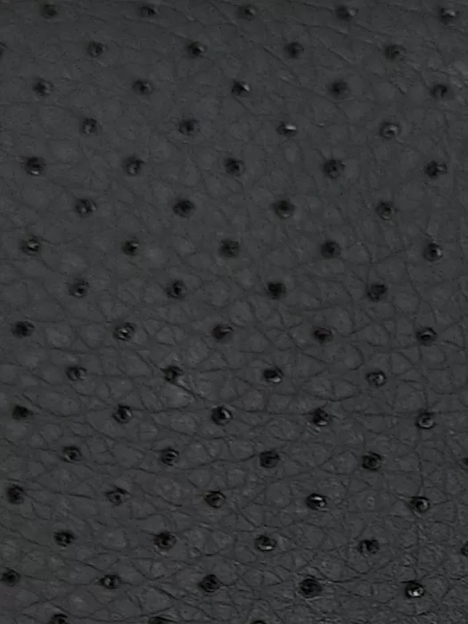 Black Perfo