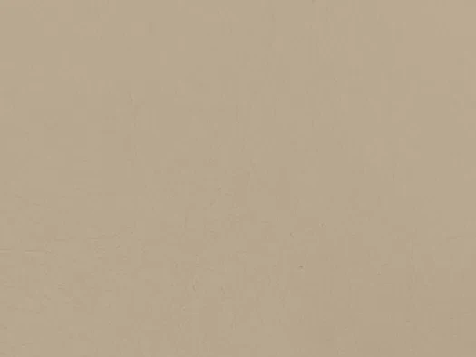 Экокожа Beige (светло-бежевый)